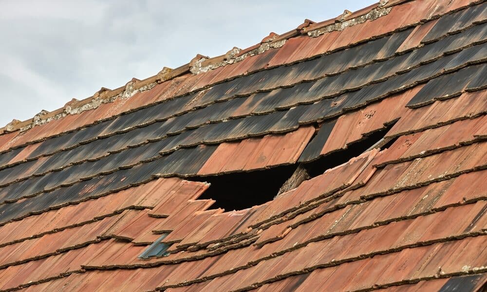 Close-up of damaged shingles showing signs of curling and cracking, indicating roof wear.
