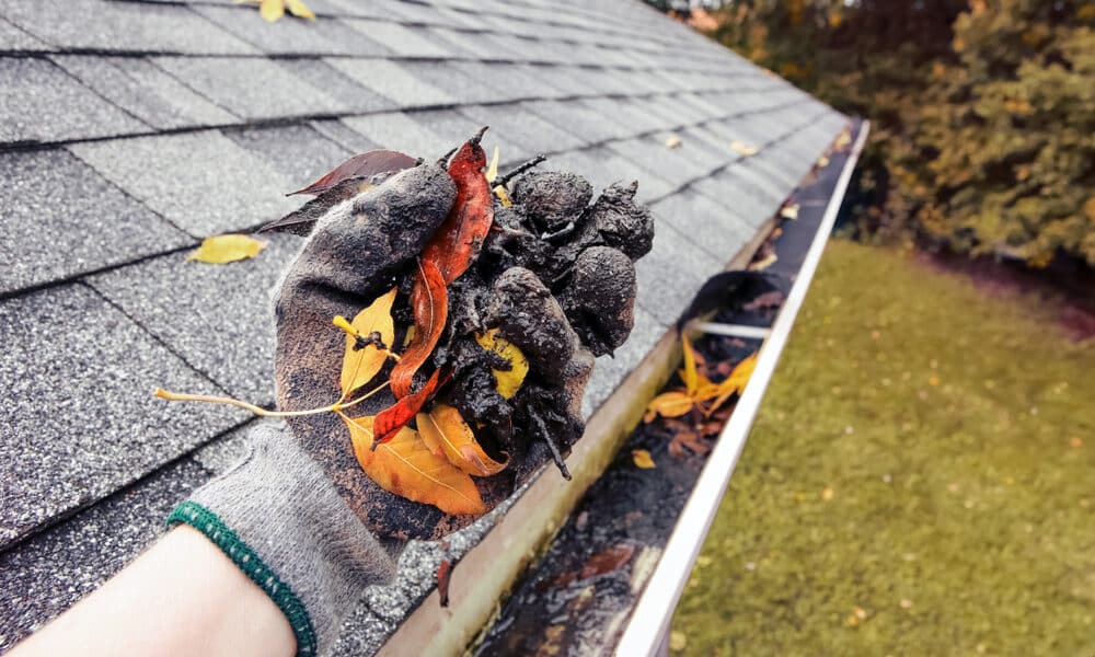 Clearing gutters of leaves and debris to prevent ice dams and water damage.
