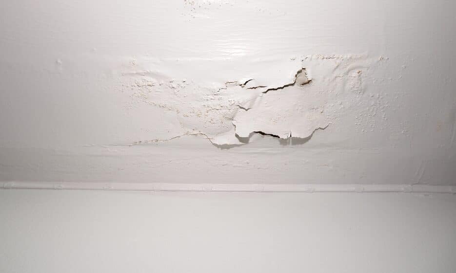 Detecting roof leaks early by checking for water stains and inspecting the attic.
