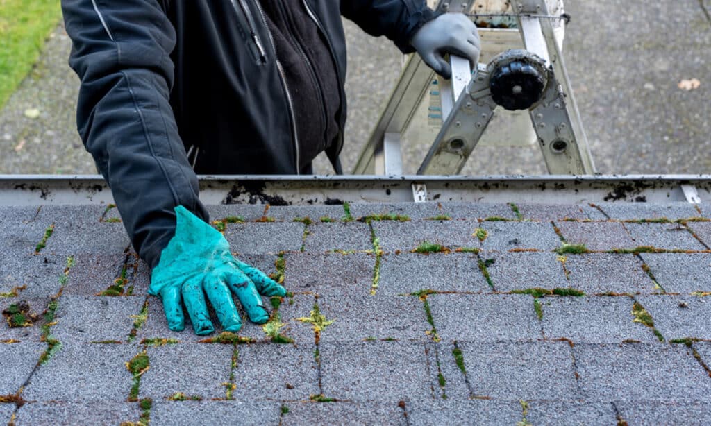 Roof contractor inspecting shingles, highlighting the importance of understanding repair costs in 2024.