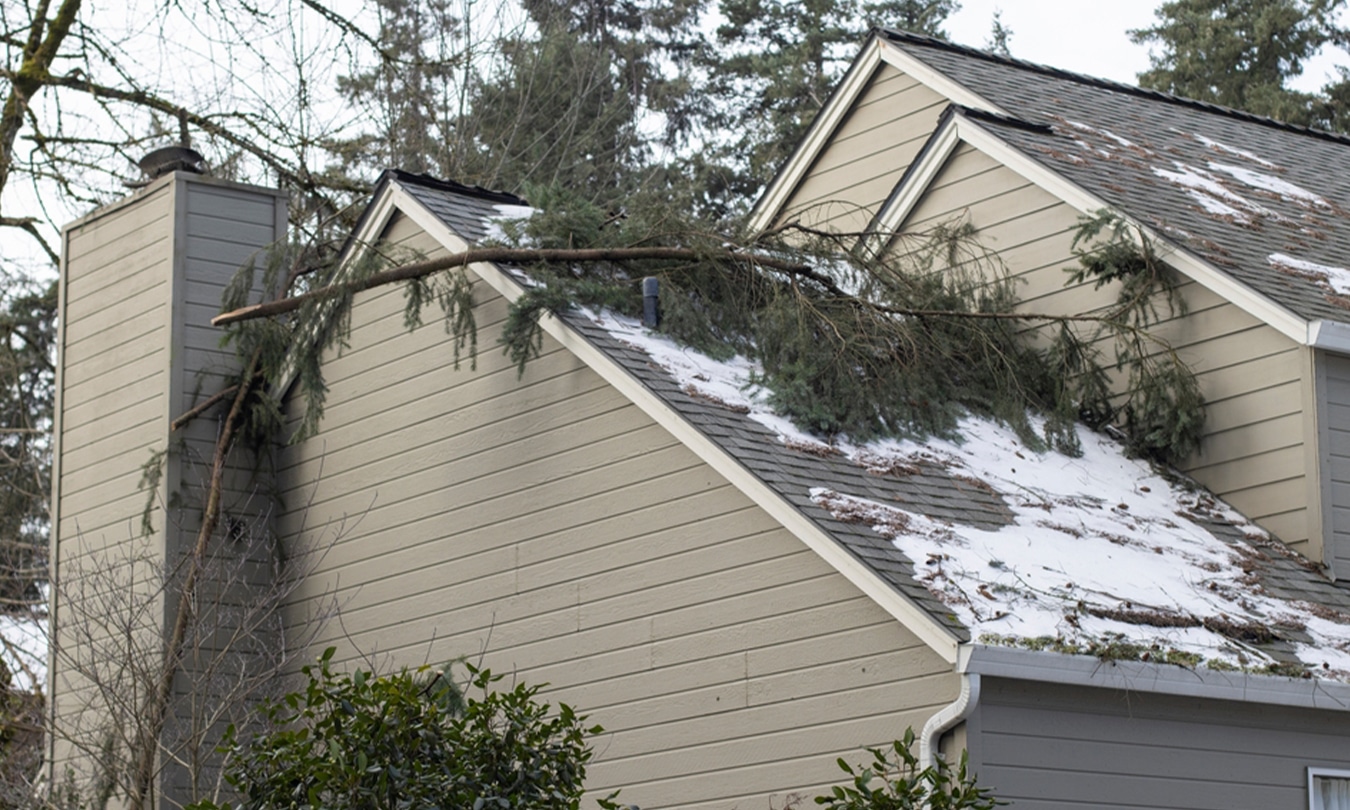 Trimming overhanging branches to prevent winter roof damage from falling limbs.